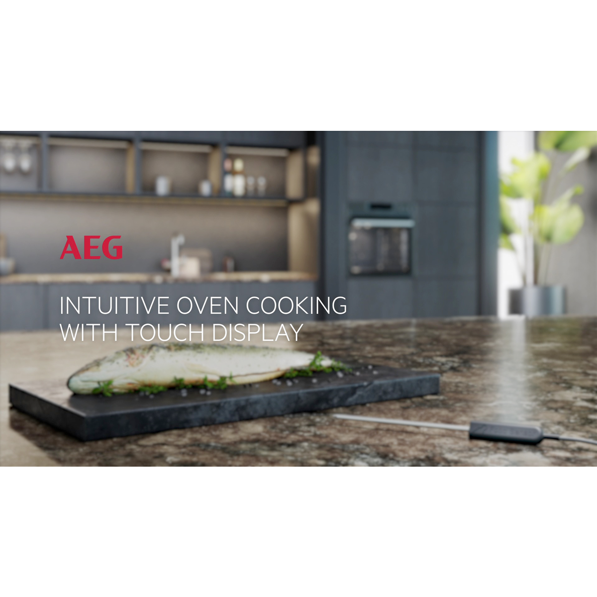 AEG - Steam oven - BSE782380M