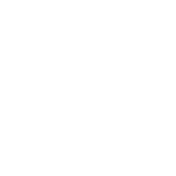 Temperature probe