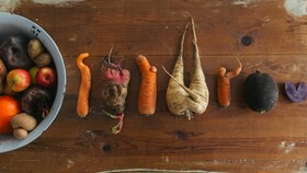 Different shaped root vegtables