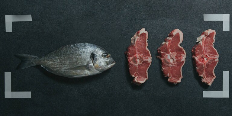 Different types of fish and meat