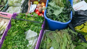A selection of different salad leaves