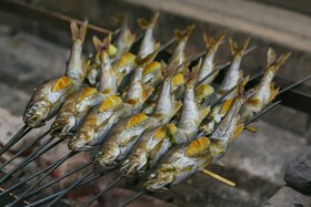 A range of fish barbecuing on coals