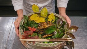 A wooden bowl of freshly picked herbs and leaves