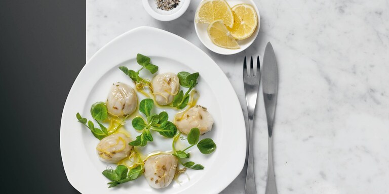 Scallops with Fennel